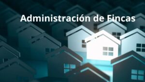 _Black White Simple Company Business Card